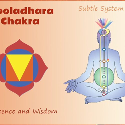 Muladhara or root chakra