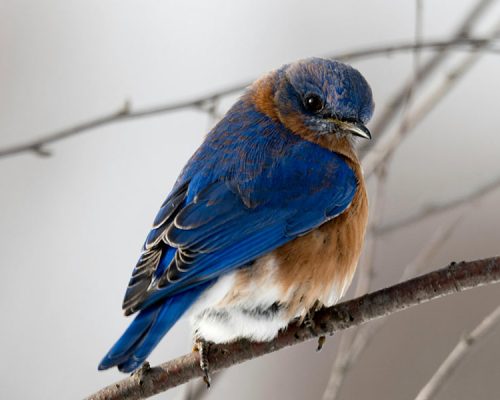 Global Glamour: Traveling the World with a Fashionable Twist