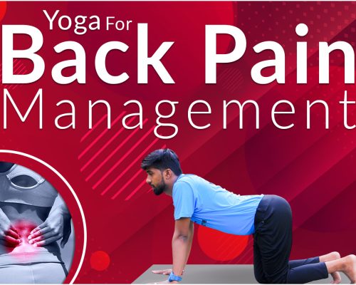 Yoga For Back Pain Management
