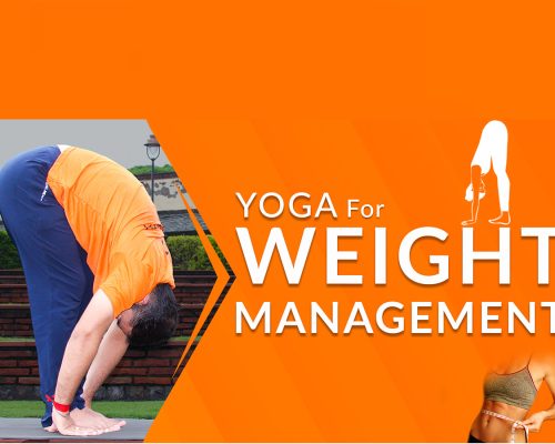 Challenge yourself to lose weight and combat obesity with naturopathic care!