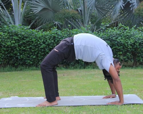 Yoga for Pelvik Tilt – Flexible and Strong