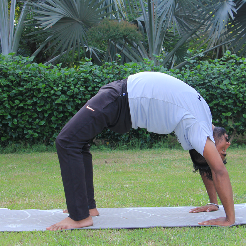 Yoga for Pelvik Tilt – Flexible and Strong